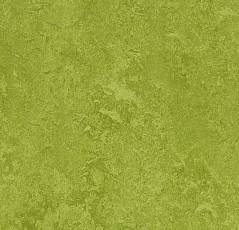 Линолеум Forbo Marmoleum Decibel on Order 324735 green фото 1 | FLOORDEALER